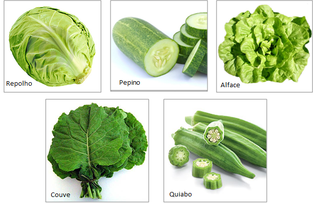 FB-VEGETAIS FEVEREIRO